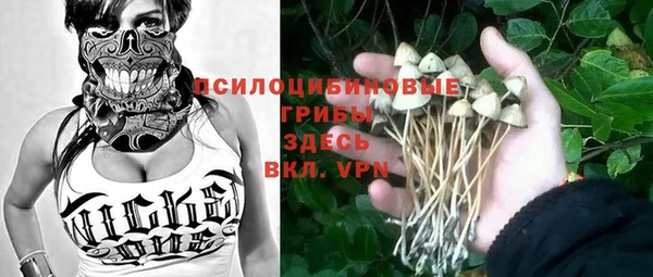 прущая мука Богданович